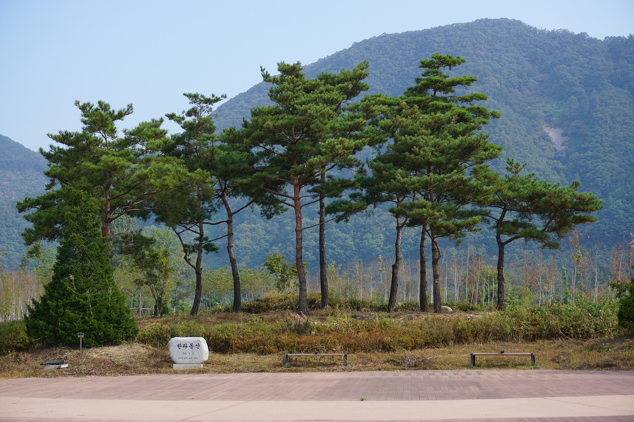 춘천 여행