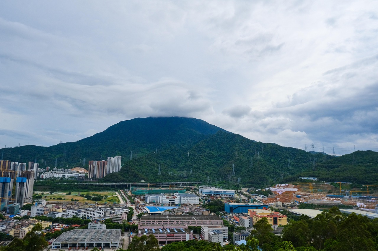 산삼주