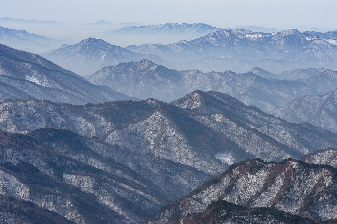 스타렉스5밴장기렌트 완벽 가이드: 이 글 하나로 끝내세요!