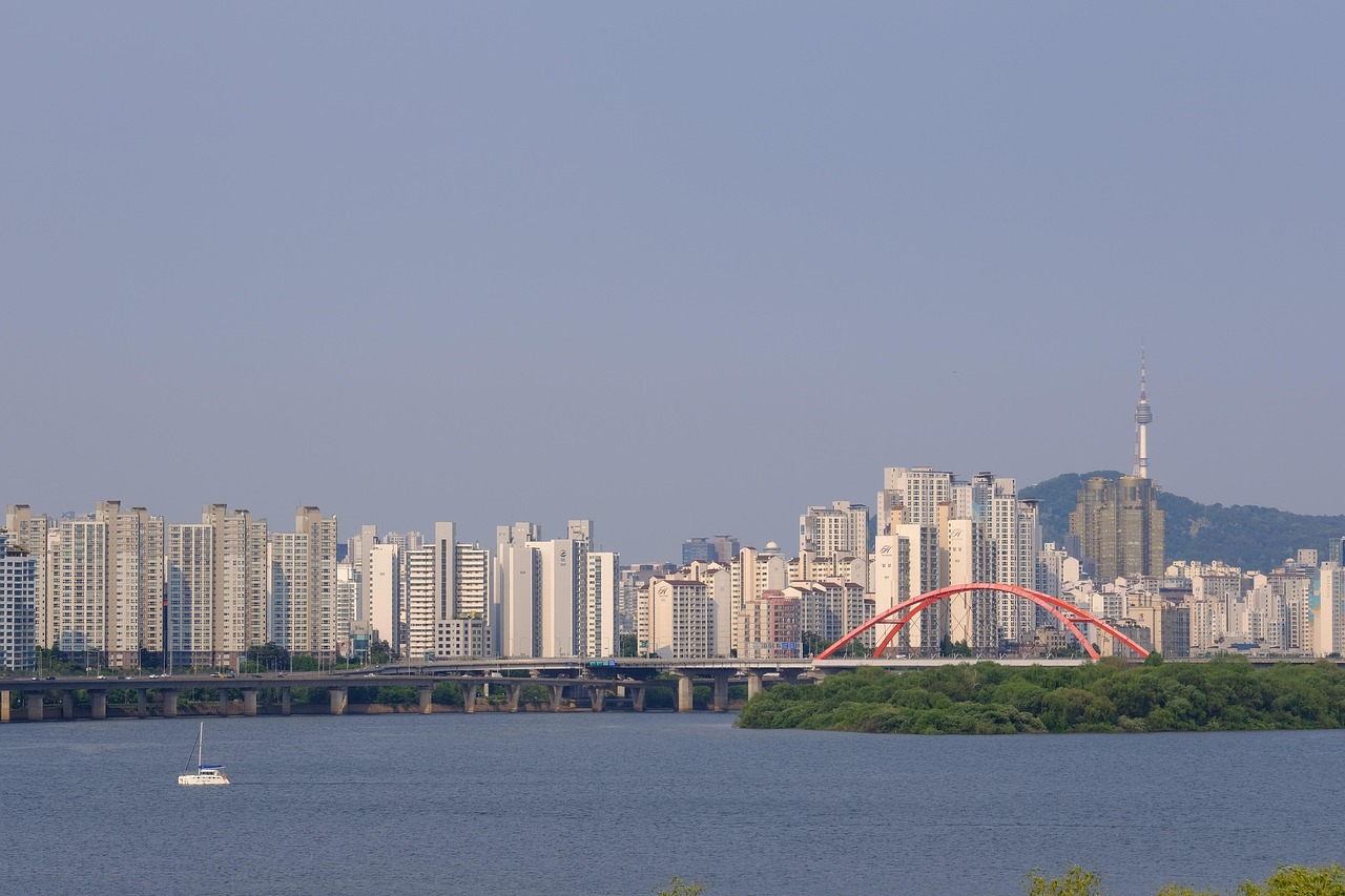 여의도 점심