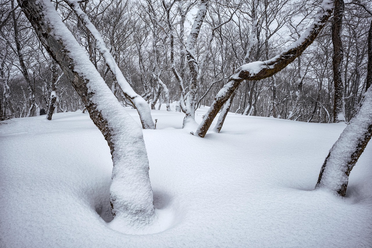 신설동역 곱창
