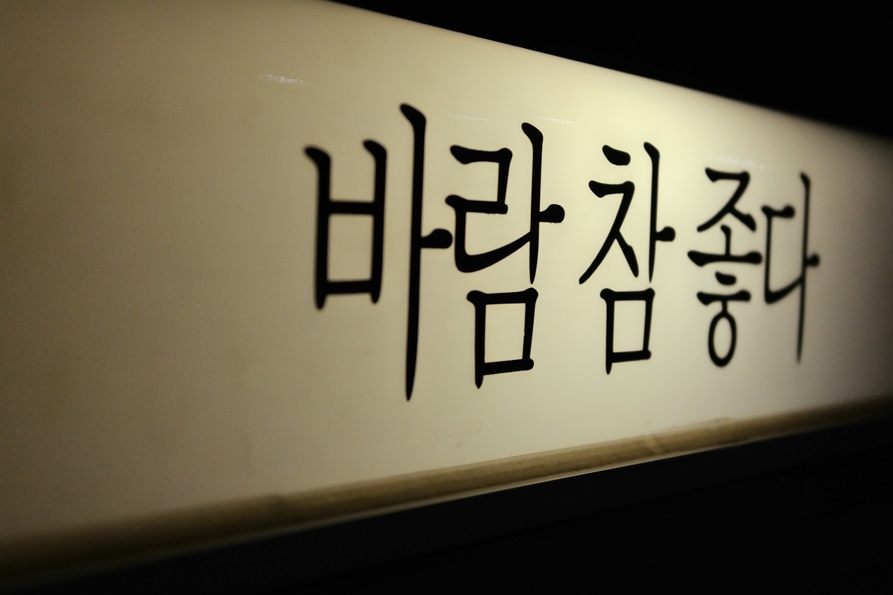 여의도 점심