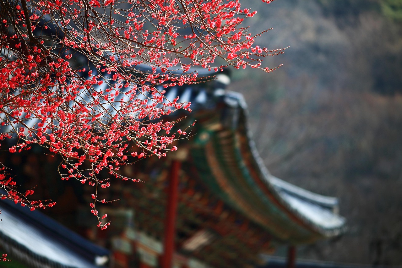 한국 온천여행
